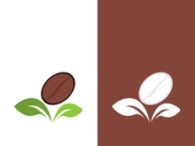 Coffee bean icon vector illustration template