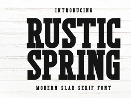 Rustic Spring - Modern Slab Serif preview picture