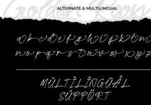 Golden Room - Handwritten Script Font