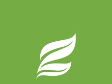 Leaf logo green nature vector image