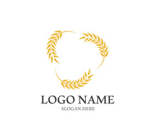 Wheat logo vector icon illustration design
