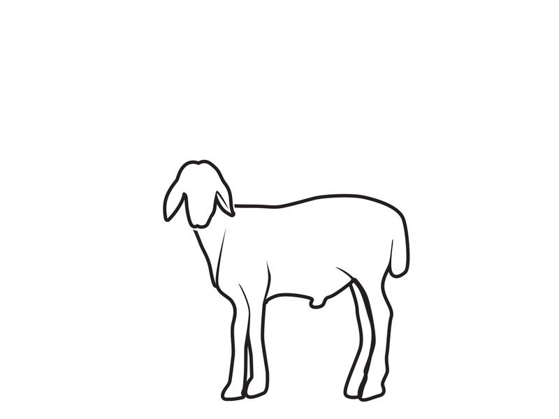 Goat Logo Template vector icon illustration design