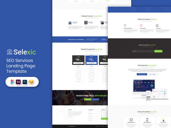 SEO Service Landing Page Template
