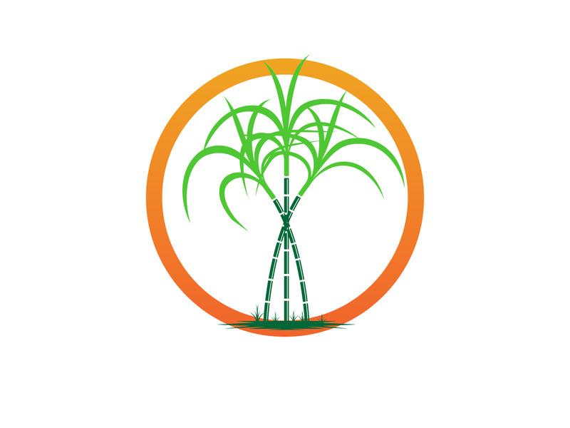 Sugar Cane Logo Template Vector Symbol Green Ingredient Sugar Cane Vector,  Green, Ingredient, Sugar Cane PNG and Vector with Transparent Background  for Free Download
