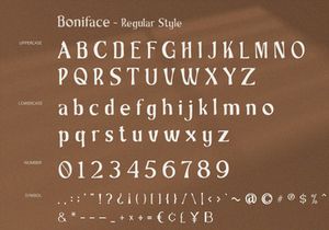 Boniface - Display Serif Font