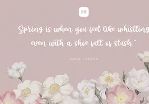 Sunshine - Script Font