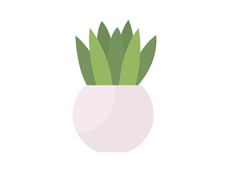 Small tabletop plant semi flat color vector object