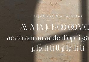 Gyahegi Elegant Modern Serif Font