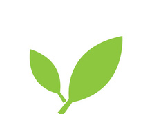 Leaf logo vector icon design template