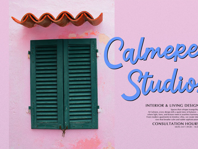 Traffic Rolland | Casual Handwritten