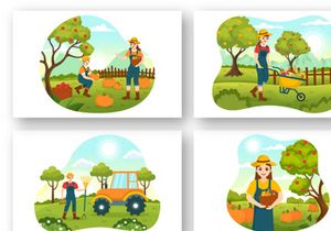 15 Harvest Season Vector Illustration