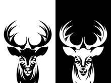 Deer logo template vector icon illustration design