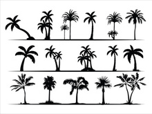 Palm Tree Collection and Silhouettes