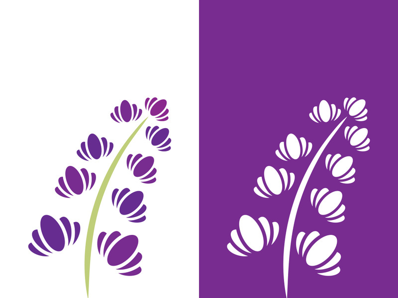 Fresh lavender flower logo vector flat design