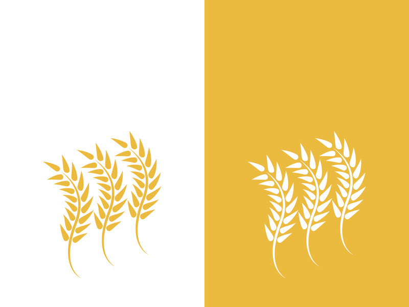 Wheat logo vector icon illustration design