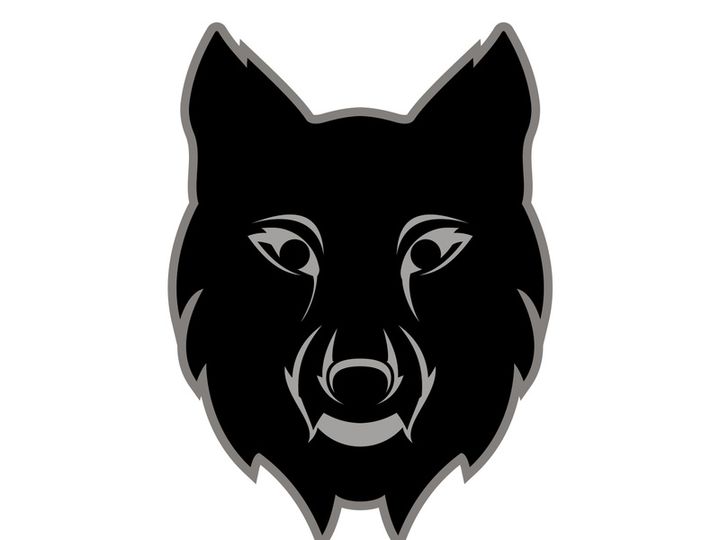 Wings logo