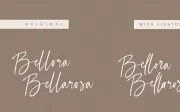 Selestia Signature - Handwritten Font