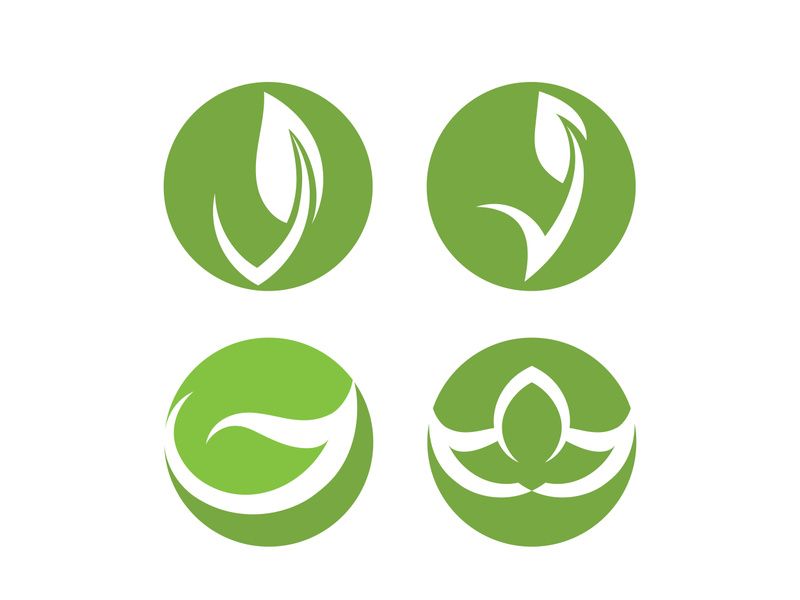 Vegan leaf green eco logo nature