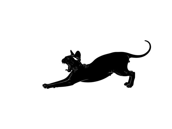 Black silhouette of a panther in mid pounce on white background