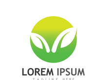 Colorful natural leaf logo design.