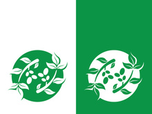 olive icon vector illustration design template