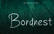 Bordnest