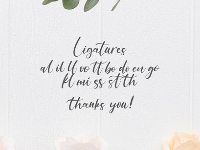 Anythings - Modern Calligraphy Font