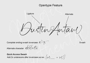Magis Authentic - Signature Font