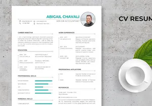 Elegant CV Resume Template - Senior Accounting