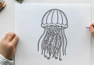 Jellyfish underwater floating sea life vector illustration