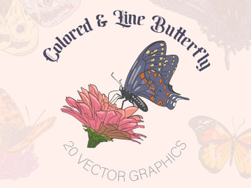 Set adorable and beauty butterfly colored, linear , vector illustration collection. preview picture