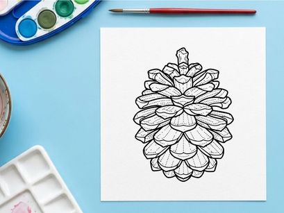Close-up of a pine cone on white background. Natural botanical detail for nature or holiday themes.