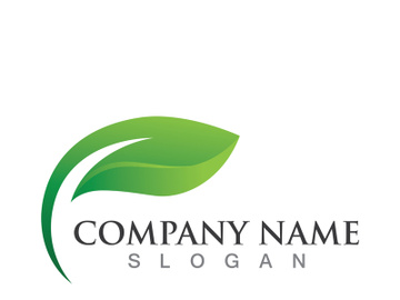 Green leaf logo design template modern leaf logo vector preview picture