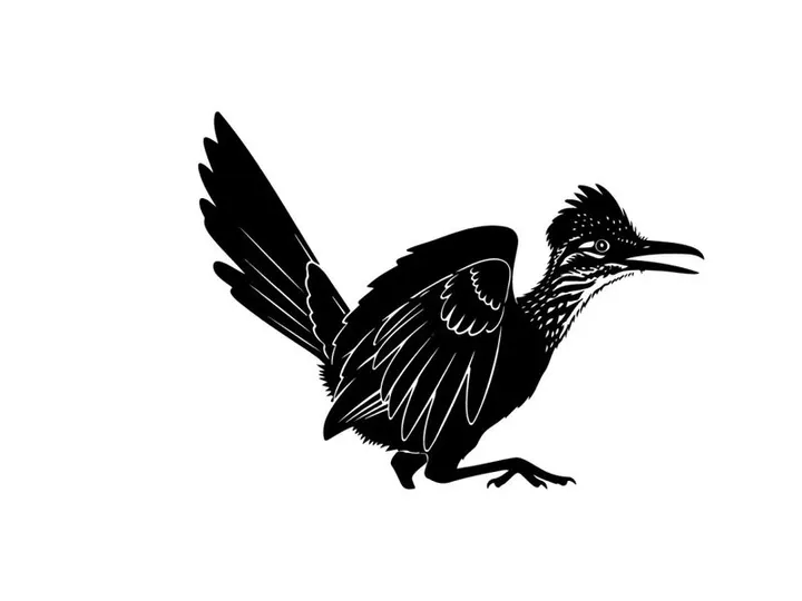Silhouette of a roadrunner in mid stride with wings spread wide