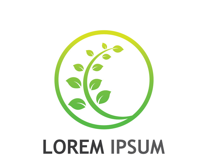 Natural green leaf logo.