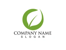 Green leaf logo Vector