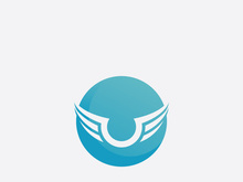 Falcon Wing  Vector Logo Icon Template