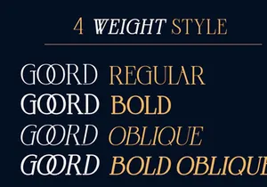 Goord - Modern Serif Family