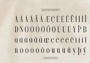 Lequano | New Display Serif