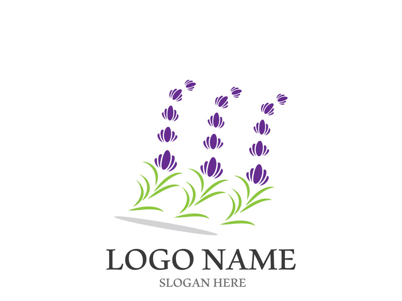 Lavender flower vector icon illustration design template