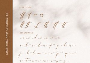 Funittey – Classy Script