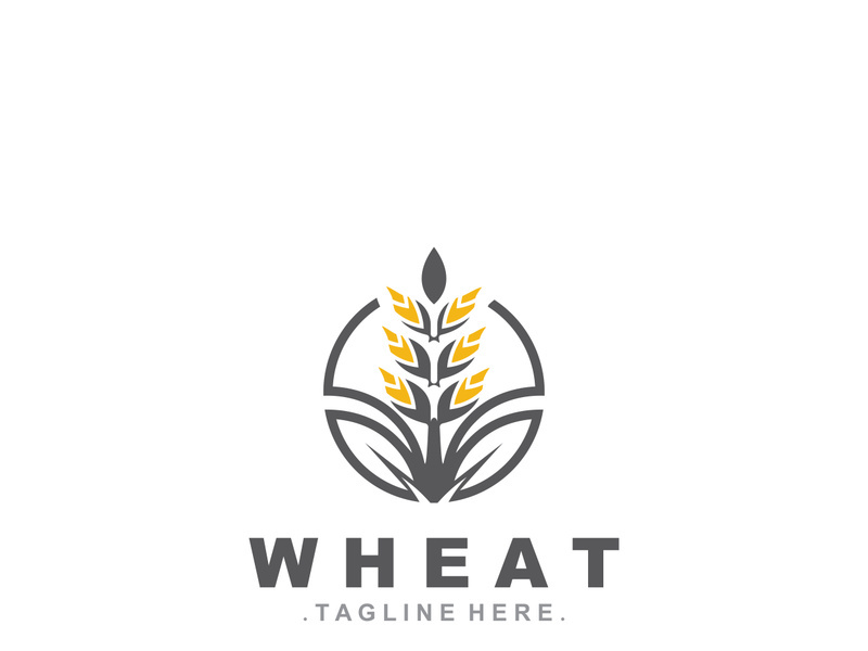 Wheat logo concept, agriculture nature wheat grain logo template