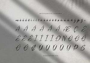 Rentosah | Elegant Signature Script