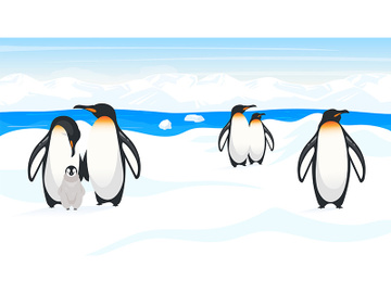 South pole wildlife flat vector illustration preview picture