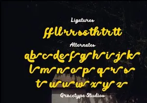 Mellow Script | Vintage Bold Script