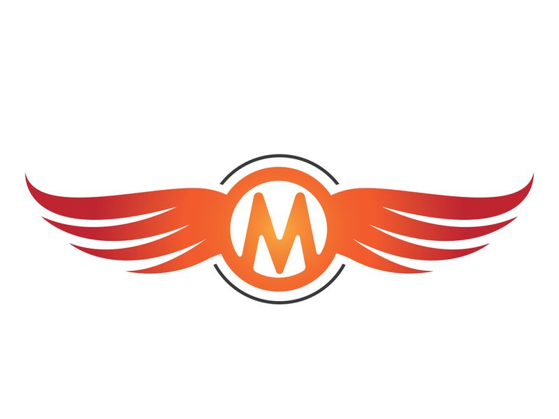 Wing bird logo vector