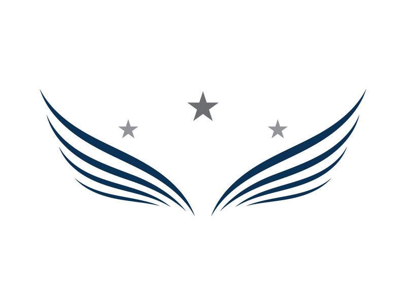 Wing Logo Template vector icon