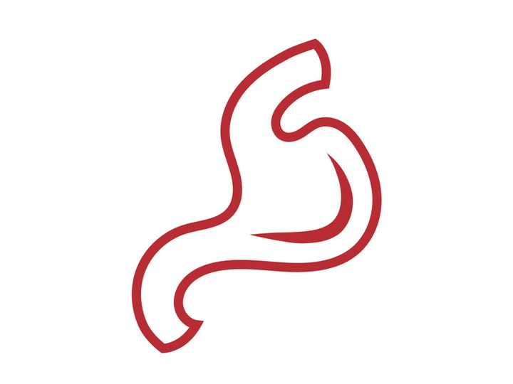 Stomach logo