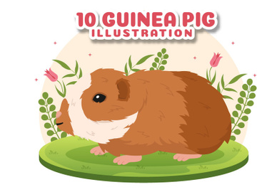 10 Guinea Pig Pets Illustration preview picture