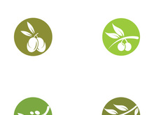 Branched olive fruit logo with creative idea.